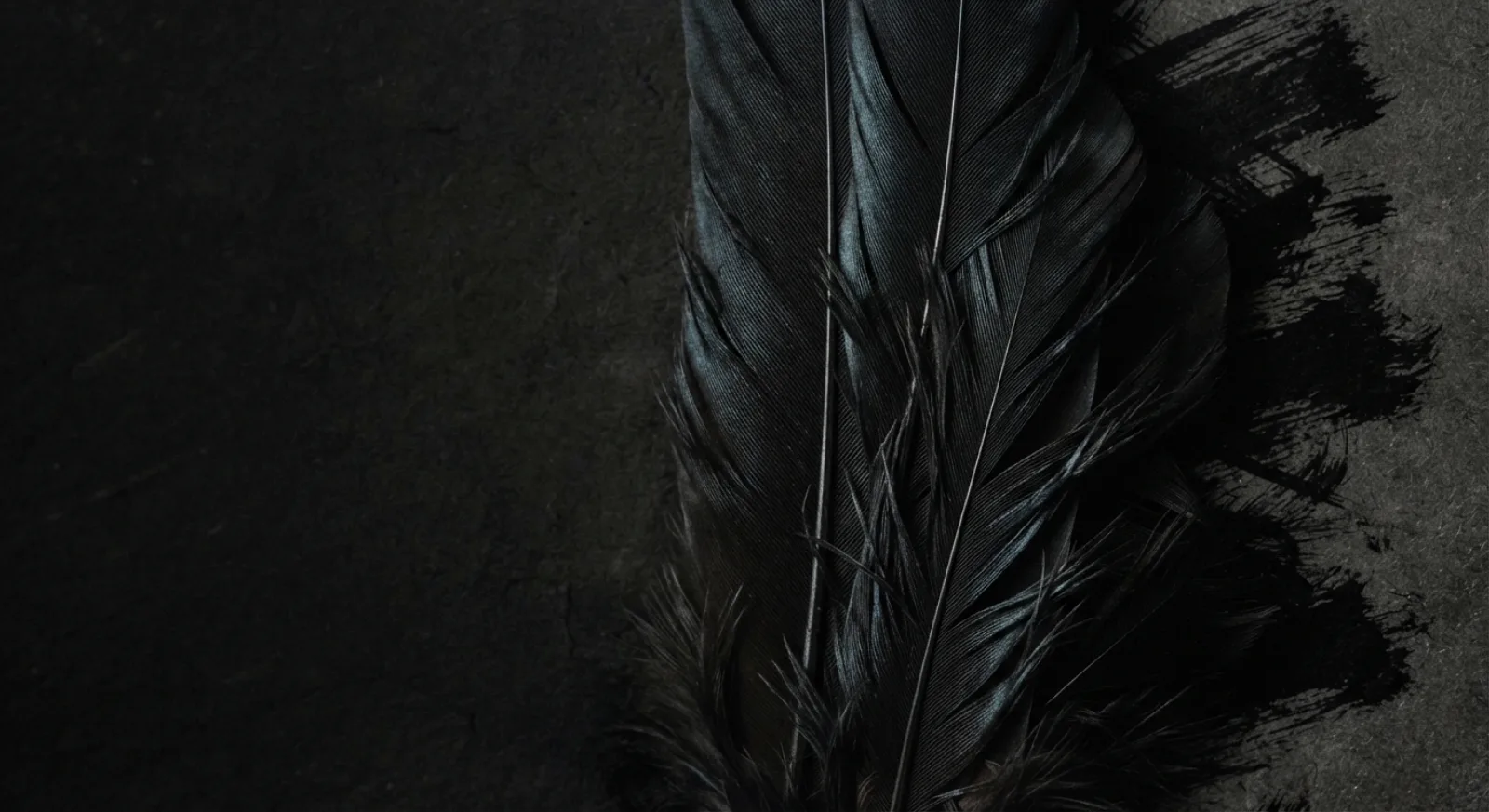 Feather detail